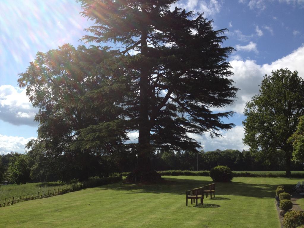 Overton Grange Country Hotel Лъдлоу Екстериор снимка